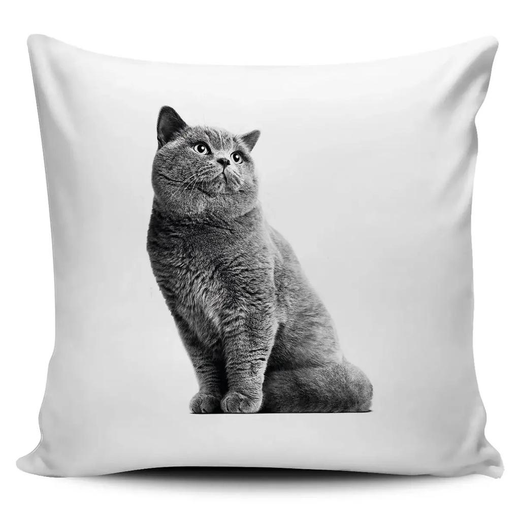 Cute Cat Print Pillowcase Car Ornaments Office Living Room Home Pillowcase