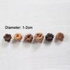 15pcs Dried Vegetables Dried Mini Pumpkins Dried Fruit Halloween Mini Pumpkins  Party Decoration