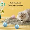 Interaktiver Katzenball für Haustiere, intelligenter elektrischer Indoor-Katzen-/Hunde-Entlastungsball, Selbstglück, automatisch rollender magischer Ball, Katzenzubehör