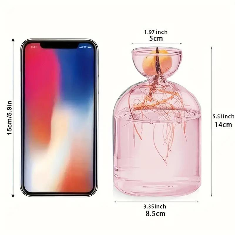 Colorful Transparent Avocado Hydroponic Vase Glass Avocado Seed Starter Vase Plant Seed Growing Kit Gardening Lovers Home Decor