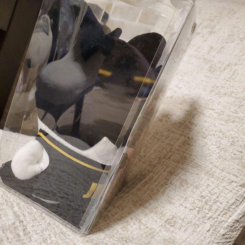 [USED] BTS JIN Hip Hop Monster Hypmon Plush Toy with Case