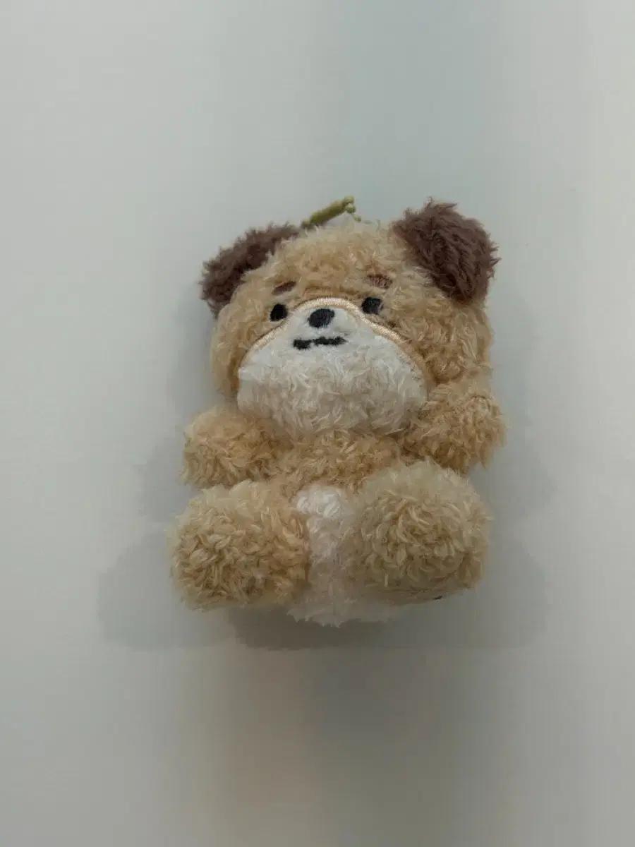 

DAY6 Sitting Mars Shit Petit Mars Don Used