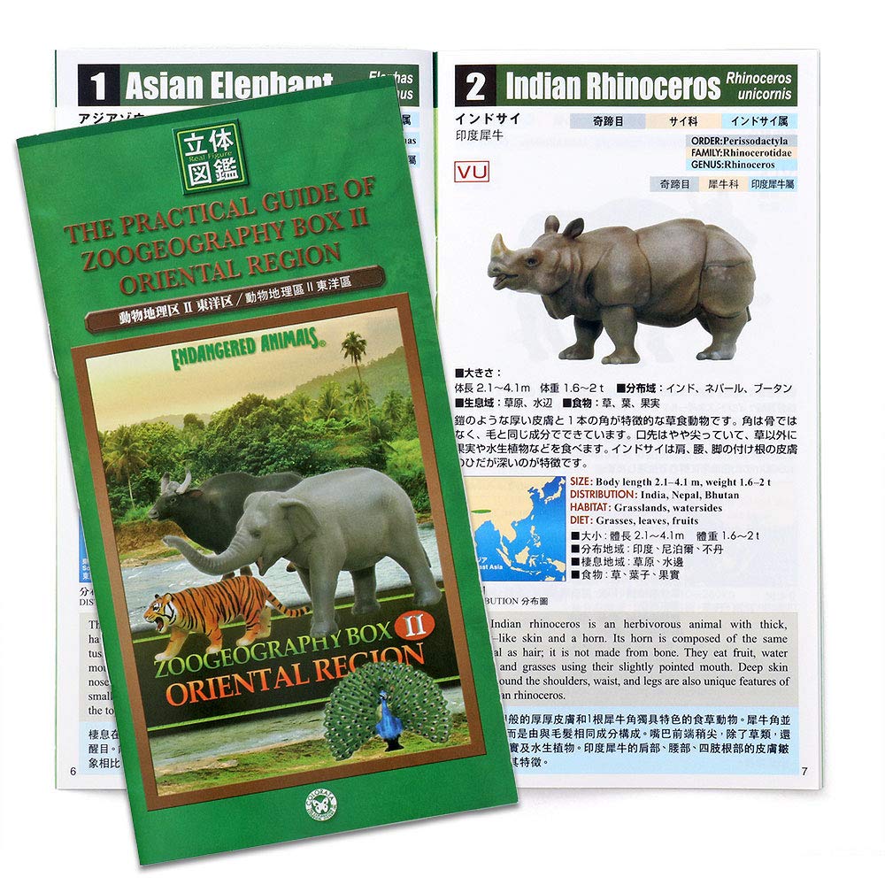 Colorata 3D Animal Encyclopedia Zoogeography Box Oriental Region Real Figure Set 12 Animals with Guide Book
