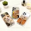 Funny Selfie Cat Meme Mirror Phone Case for iPhone 17 16 15 14 13 12 11 Series Pro Max Plus Double Layer Protection