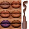 2-in-1-Lipliner und Lippenstift, mattes Finish, wasserfester Lippenstift, leicht aufzutragen, hochpigmentierter Lipgloss, Braunton, Kreideform, Lippen-Make-up-Kosmetik