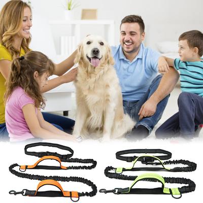 Laisse pour animaux de compagnie, réfléchissante, Double rétractable, pour course en plein air, chaîne pour chien, fournitures pour animaux de compagnie