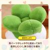 NASSIA Plush Toy - Cabbage and Bird - Funny, Cute, Humorous Item, Body Pillow, Relaxing Item, Gift (40cm)