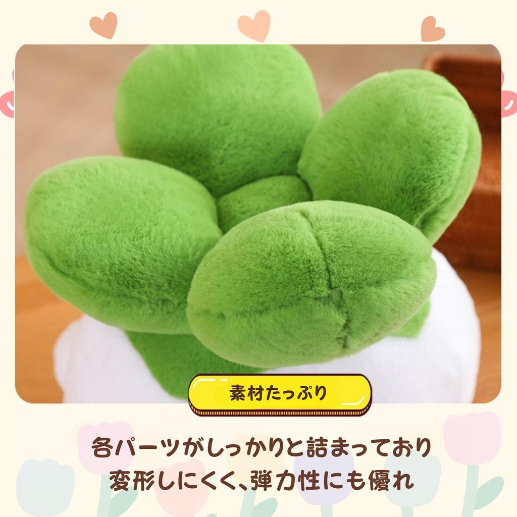 NASSIA Plush Toy - Cabbage and Bird - Funny, Cute, Humorous Item, Body Pillow, Relaxing Item, Gift (40cm)