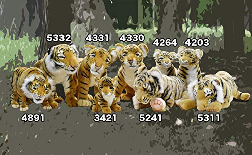 BH5332 HANSA Tiger 70