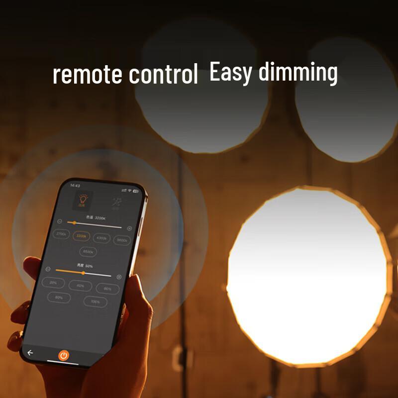 SOULMATE E300BI Max 300W Bi-Color DMX LED Video Light