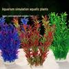 Pești și animale marine – Decorul acvariului