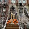 1setHalloween Simulation Spider Web Hanging Decoration for Yard House Haunted House Party Decoration Spider Silk Props20Only Sim