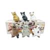 Fierce Looking Bad Kitty Series Two Blind Box Vicious Crouching Calico Cat Pvc Toy Figure