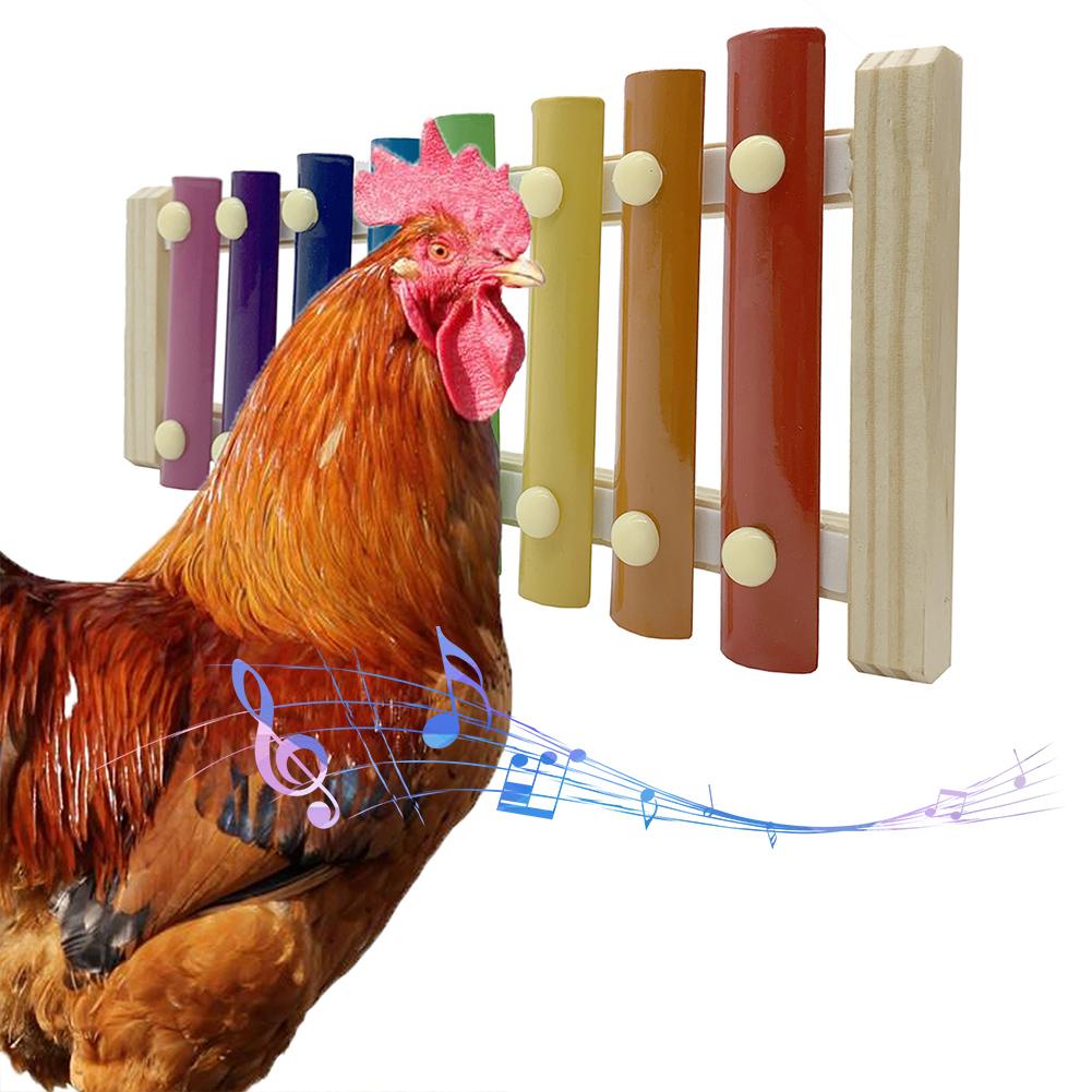 Buy Chicken Xylophone Toy 8 Keys Pecking Suitable for Hen Coop Parrots