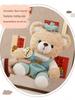 Painter Series Teddy Bear & Rabbit Plush Toy - Cute Doll Gift for Girls' Birthdays