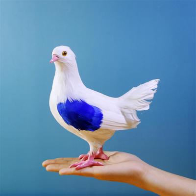 Künstliche Taube Modell Gefälschte Taube Vogel Statue für Rasen Terrasse Fotografie Prop