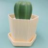 Creative Pot Brush Prickly Pear Nano Cleaning Ball Gradient Color Cleaning Brush Pot Brush