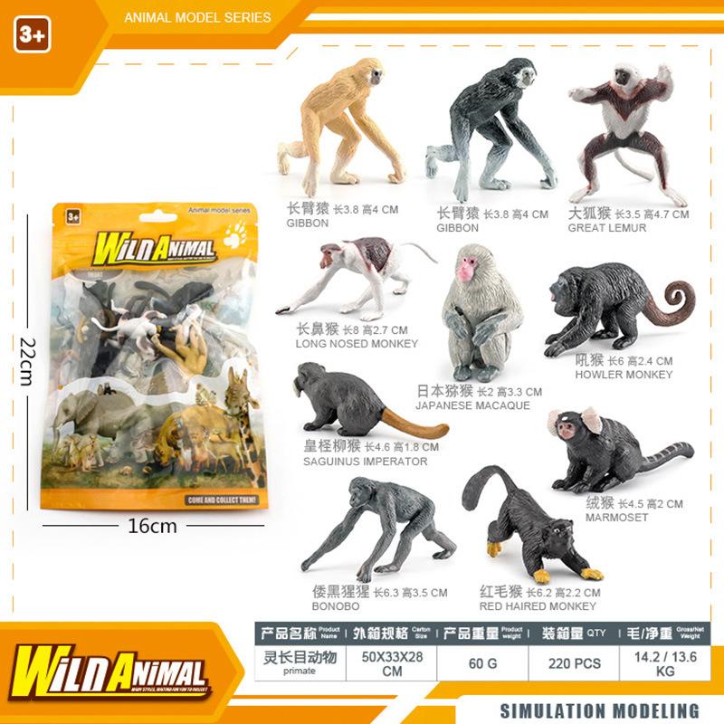 Simulation Prehistoric Creature Model Primate Mammal Skull Tabletop Static Ornament Toy