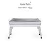 Portable Stainless Steel BBQ Charcoal Grill