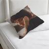 CCharm Singer CClairo Square Pillow Case Soft Decorative Throw Pillow Cover for Home Sofa Bed