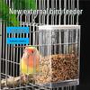 Anti-Spill Automatic Bird Feeder - Transparent, No-Mess Design for Parrots, Budgies, Cockatiels