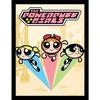 The Powerpuff Girls Group Framed Poster