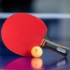 Deli Angrenate 1-Star Table Tennis Racket
