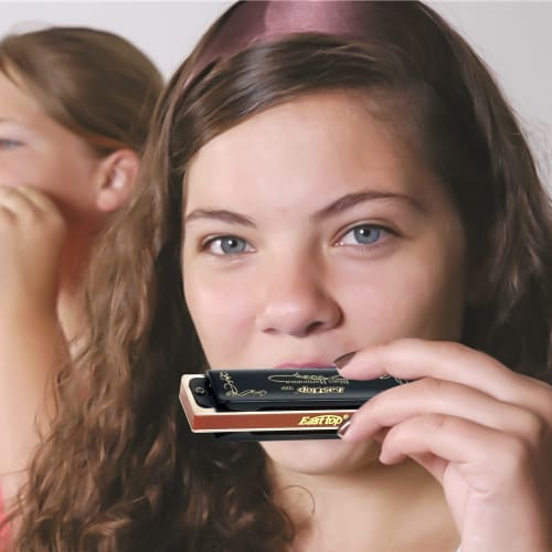 East Top 10-Hole Blues Harmonica In F Key, 20 Tones, Brass Cover, Canvas Case, and Cleaning Cloth, Ideal for Beginners and Professionals, Studying, an