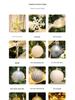 2025 DIY Luminous Christmas Tree Ornament Set - High-End & Stylish