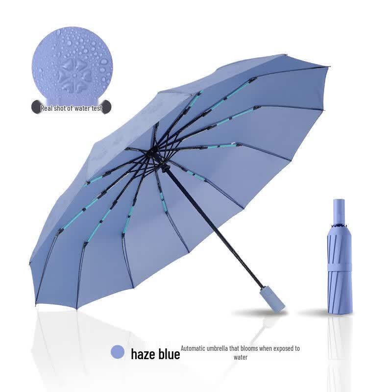 

Shiguangxia Automatic 12-Rib Magic Bloom Folding Umbrella