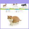 Realistic Cat Model Figurine Three Color Cat Plush Toy Collectible Home Decor