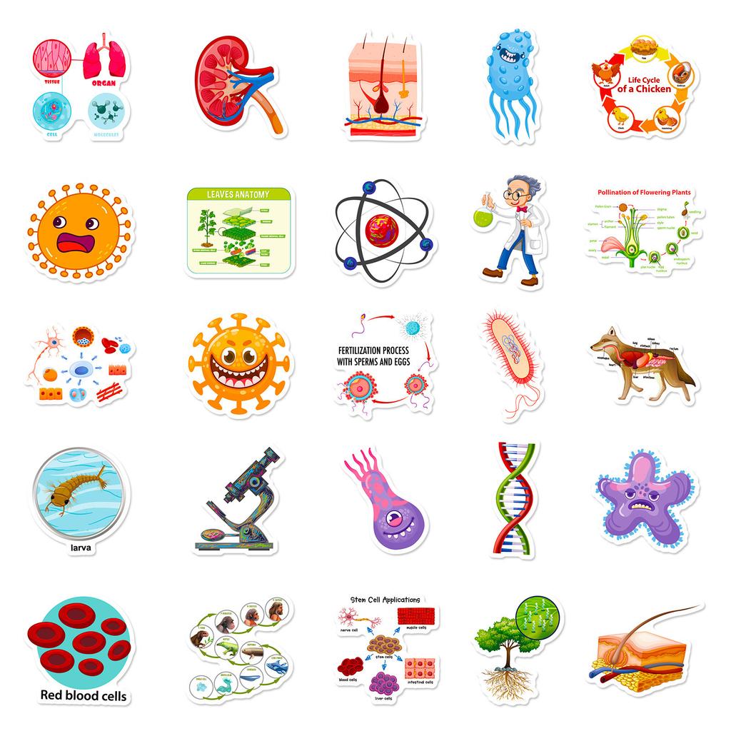 50 Biomedical Stickers New Product Biology Laboratory Children's Picture Recognition Puzzle Science Stickers