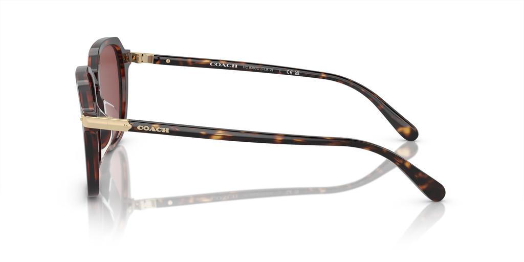 Sunglasses HC8383U CL912 DARK TORTOISE 55 [Coach] TORTOISE/CARAMEL
