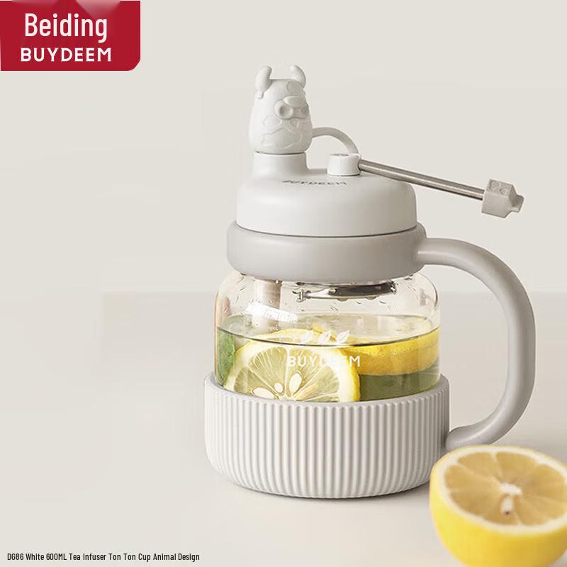 Buydeem 600ml Portable Tea Infuser Glass Bottle