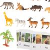 Montessori Animal Figures with , Language Materials, Realistic Figures, Toys for Preschool