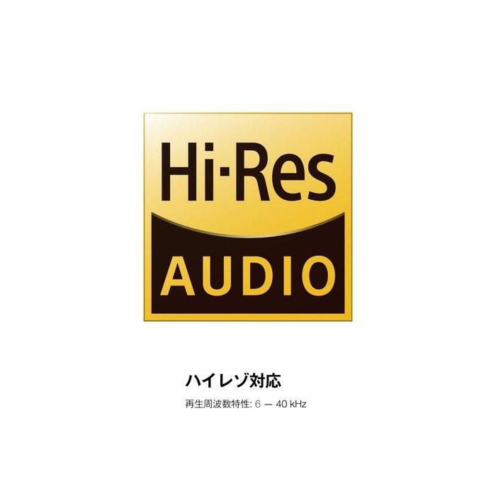 Denon AH-C620 Earbuds - Canal Type, Hi-Res, Dynamic Driver, with iPhone Remote - Black AH-C620RBKEM