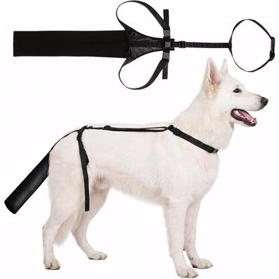 Köpek Kuyruk Koruyucu Kılıf Nefes Alabilen Köpekler İçin Rahat Giyilmesi Kolay Evcil Hayvan Aksesuarları Kuyruk Koruma Kılıfı