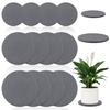 Diatomaceous Earth Coaster 4/6/8Inch Diatomite Plant Saucer Stone Plant Sourcer Instant Dry Water Absorbent Diatomite Tray (Dark