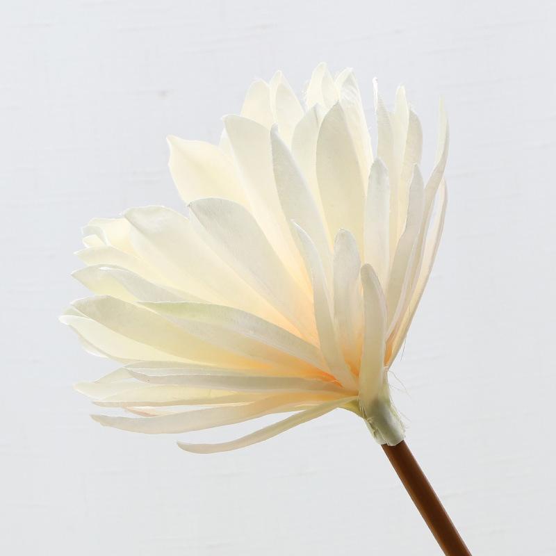 

Свадебный цветок-симуляция Свадебное украшение Дорога Ведущий Цветочный ряд Моделирование Эпифиллум Цветочная композиция Люди Искусственные цветы шампанского