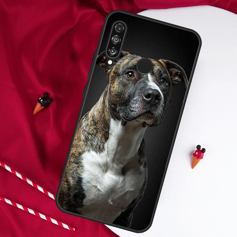 Pit Bull Pitbull Dog For Huawei Nova 5T 12s 12i 11i Y90 Y70 Y60 Y61 Y91 Y72 9 10 SE P20 P40 Lite P60 P30 Pro Case