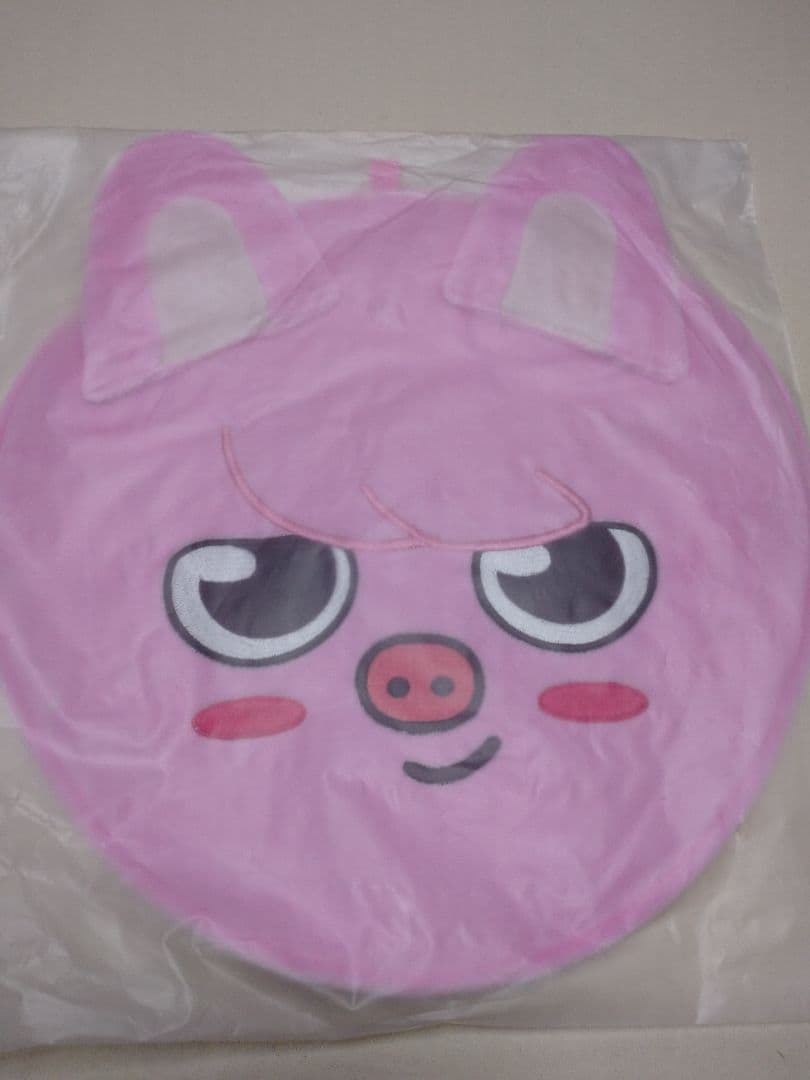 

[USED] Toekki Changbin Stray Kids Fan Case SKZOO