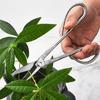 Stainless Steel Scissors Gardening Plant Branch Shears Flower Cutting Flower Shears Flowers Shop Scissors Flowers Shop Scissors
