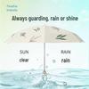 Heaven Umbrella 53082E Vanilla Rhyme Portable Sun/Rain Umbrella