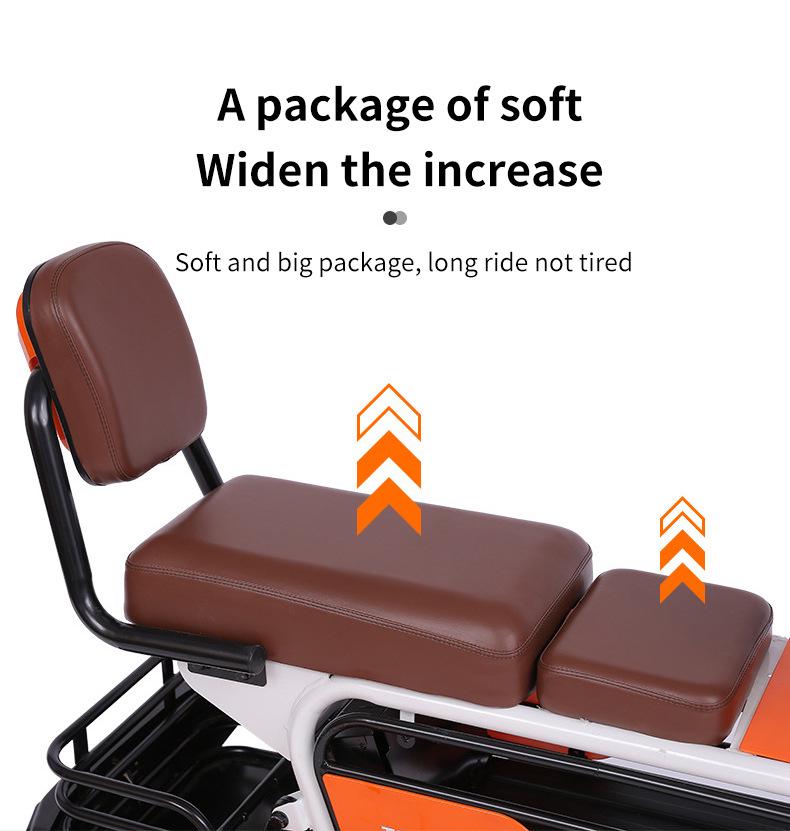 Electric Mobility Tricycle Scooter for Elderly and Pets - Customizable for Travel