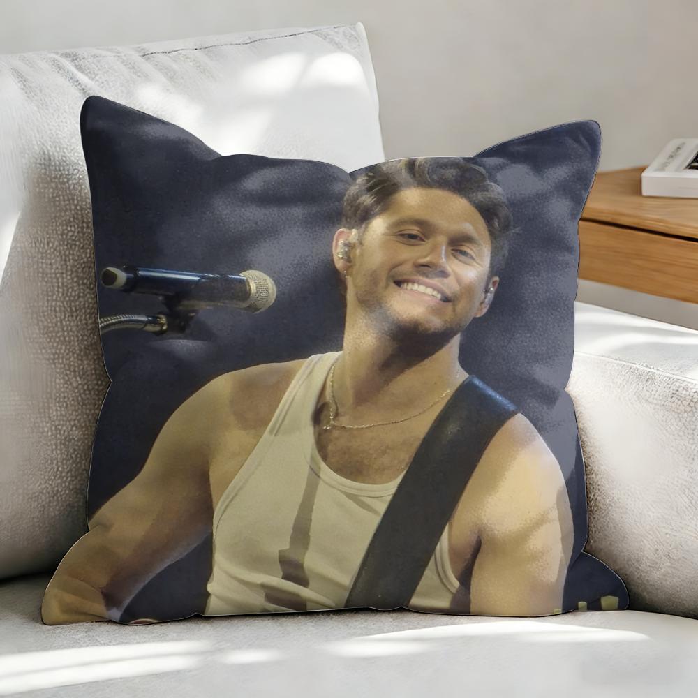 NNiall HHoran Pop Singer Cushion Cover Soft Plush Fabric DoubleSided Printed Sofa Cushion Cover for All Seasons Home Decor