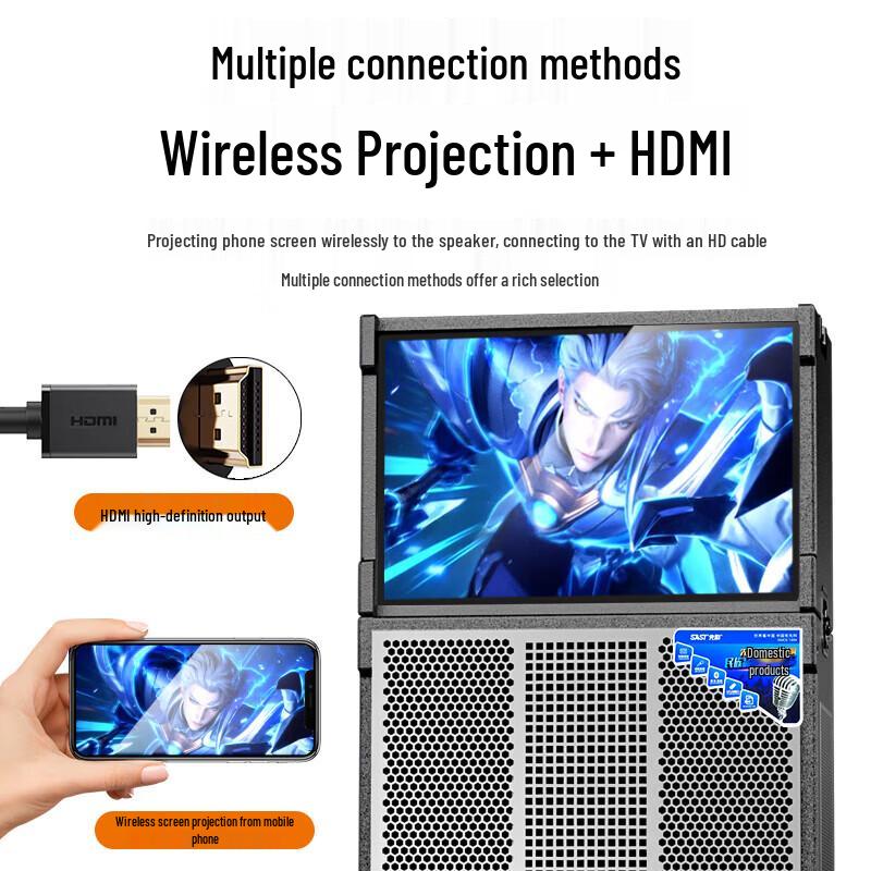 SAST Portable KTV Speaker System CN Plug (adapter Included)