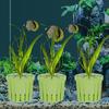 4PCS Water Plant Stand Aquarium Planter Cups Fish Tank Hydroponic Suction Cups Planting Basket Planted Tank Landscaping Basin