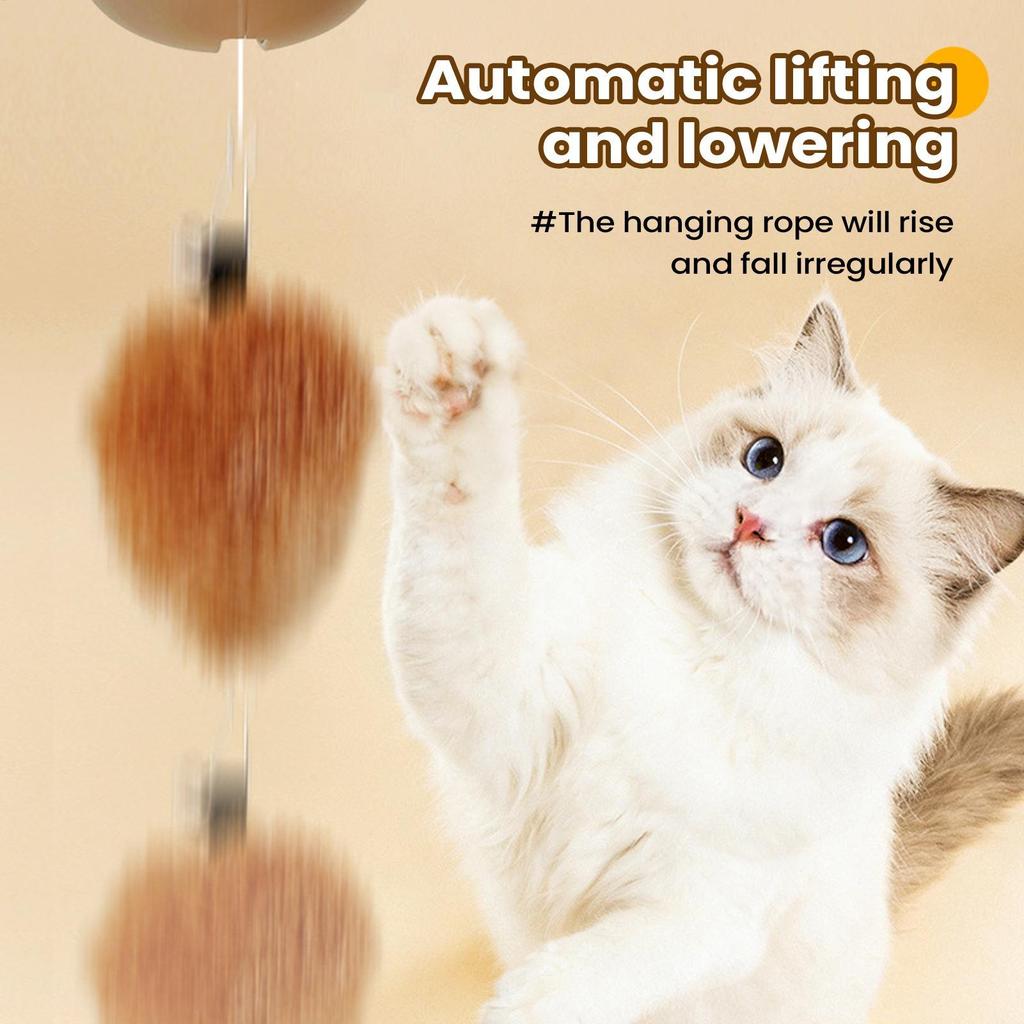 Rechargeable Electric Cat Toy with Motion Sensor Interactive Ball for Kitten & Adult Cats, Indoor Outdoor Play for Home Park