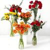 Vielseitige Plastikvasen für personalisierte DIY-Blumenarrangements und moderne Dekorationsprojekte