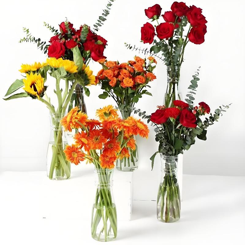 Vielseitige Plastikvasen für personalisierte DIY-Blumenarrangements und moderne Dekorationsprojekte